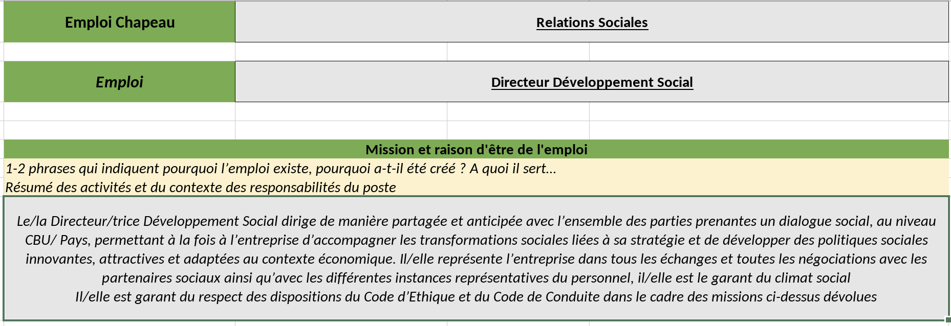 Fiche emploi directeur développement social