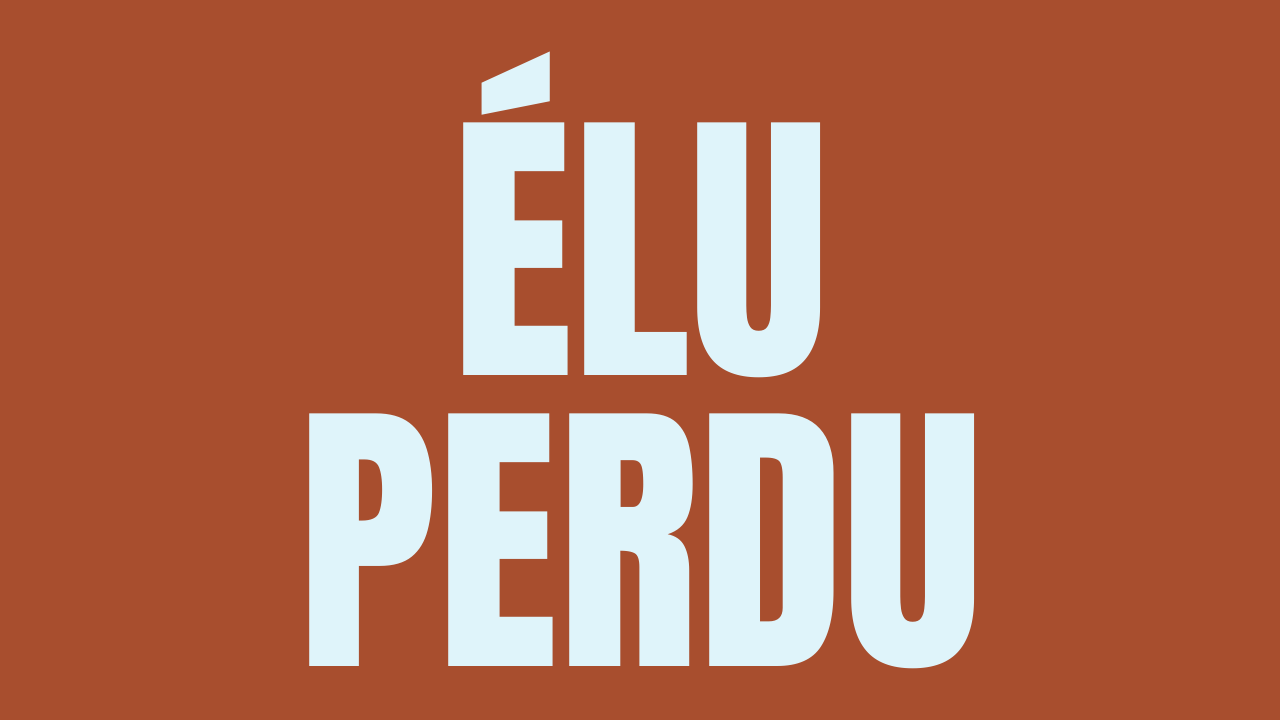 Elu perdu